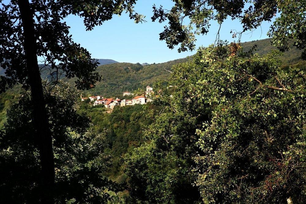 B&B Podere Bramapane Montelungo Superiore Exteriér fotografie