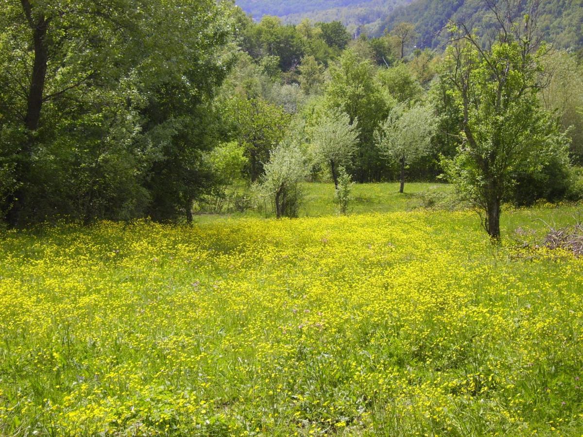 B&B Podere Bramapane Montelungo Superiore Exteriér fotografie